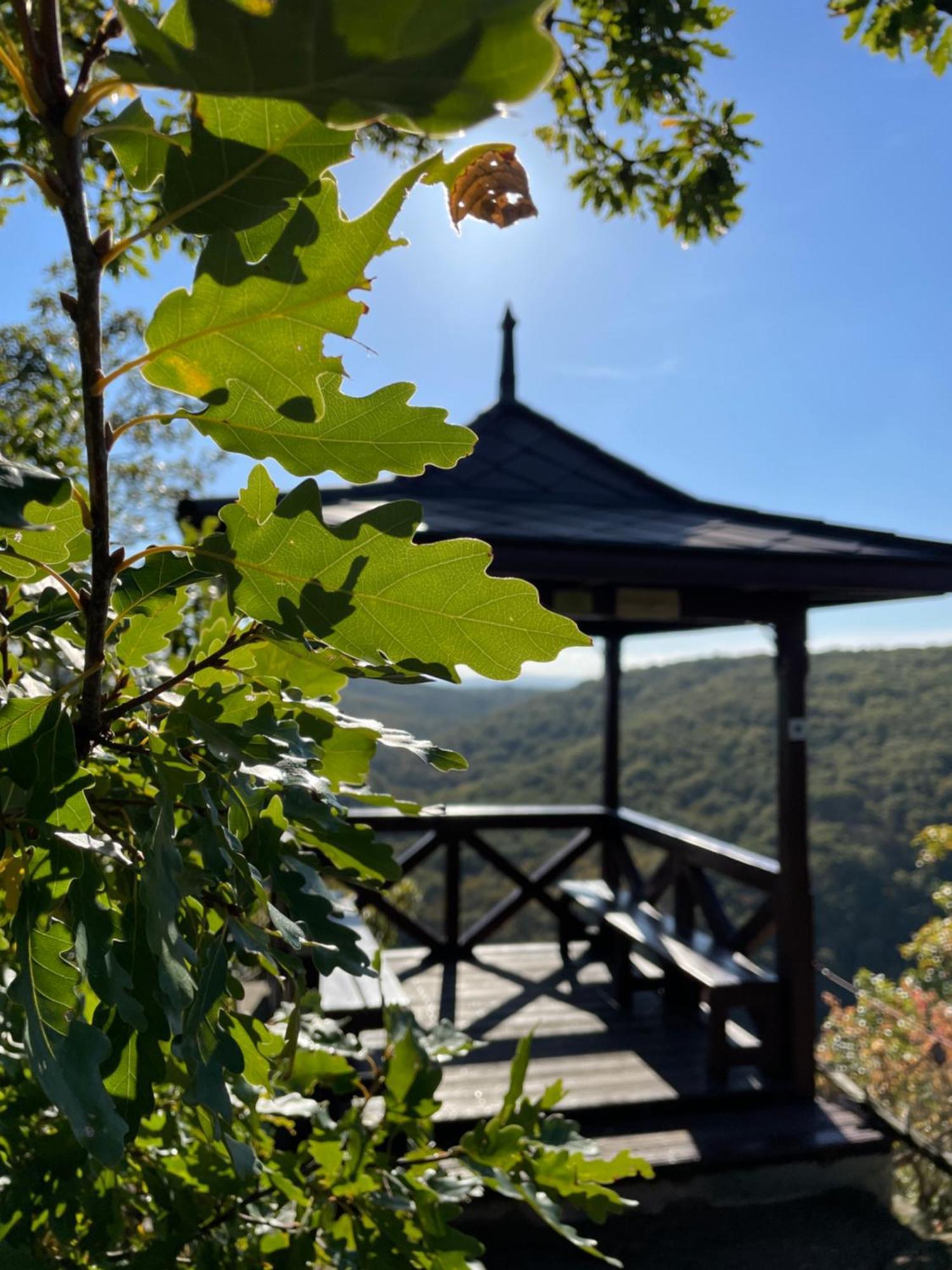 Penzion U Kaplicky Znojmo Eksteriør bilde